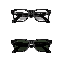 RAY-BAN | META WAYFARER Transición (Gen 2)